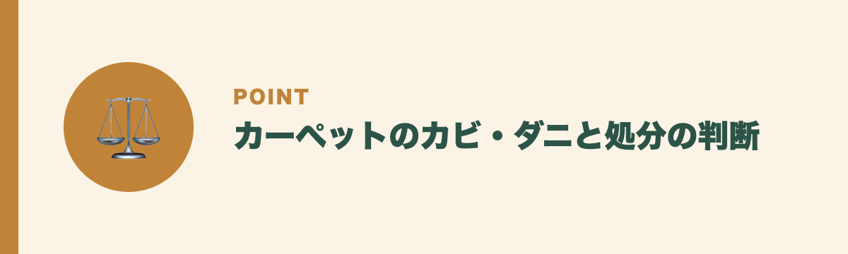 カーペットのカビ・ダニと処分の判断